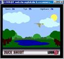 Duck shoot