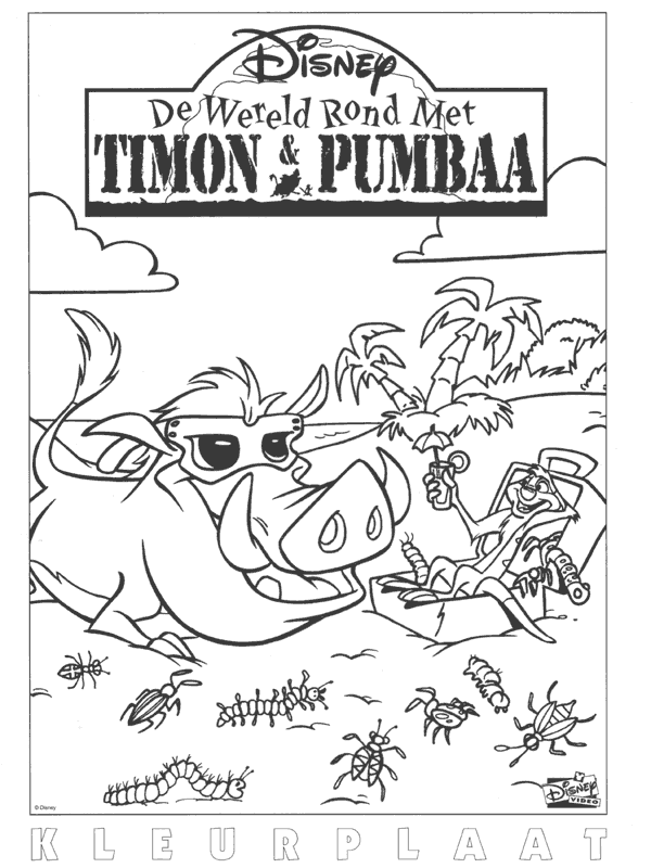 de wereld rond met timon en pumbaa