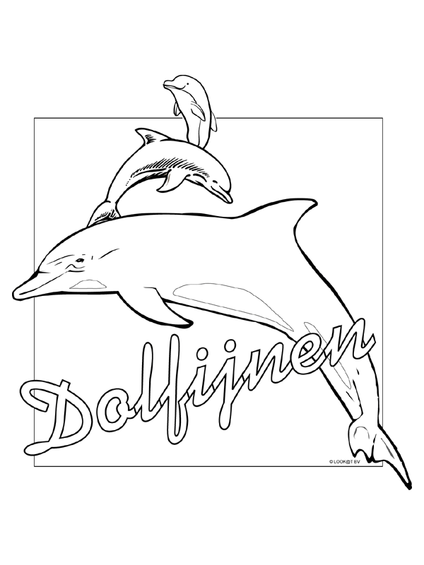 Kleurplaat Dolfijnen Kleurplatennl